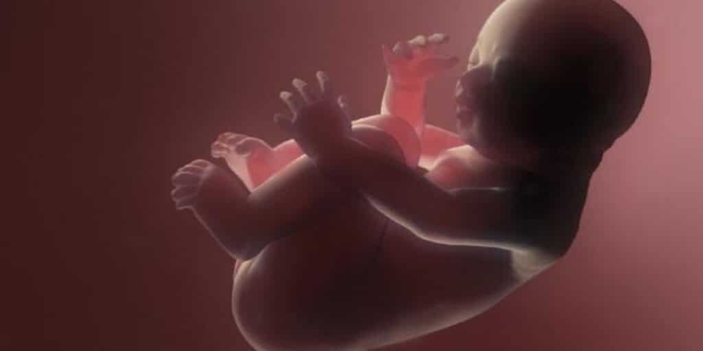 Horrible negligence: Doctor leaves twin inside mother’s womb for 75 days