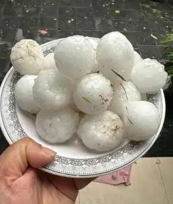 climate change