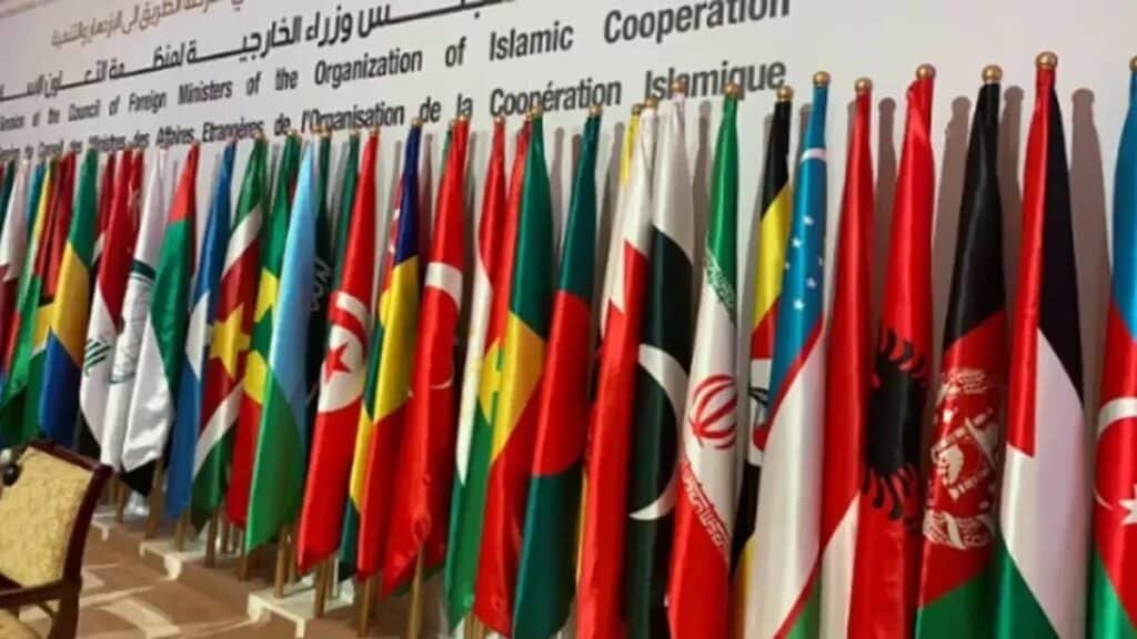 OIC group urges India to stop aggressive action amid rising Pak-India tensions