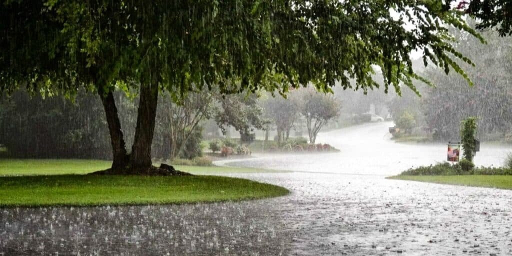 Islamabad weather witness rainfall,