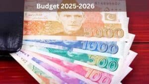 Pakistan Budget 2025