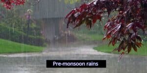 Pre-monsoon rains to hit Pakistan from June 22