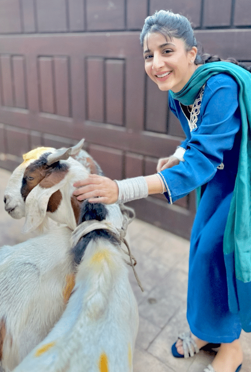 Mawra Hocane Eid