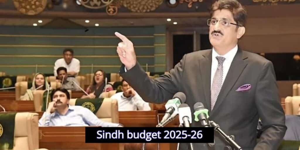 Sindh budget 2025-26: check out how much Is allocated for public services