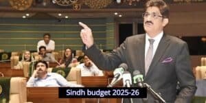 Sindh budget 2025-26: check out how much Is allocated for public services