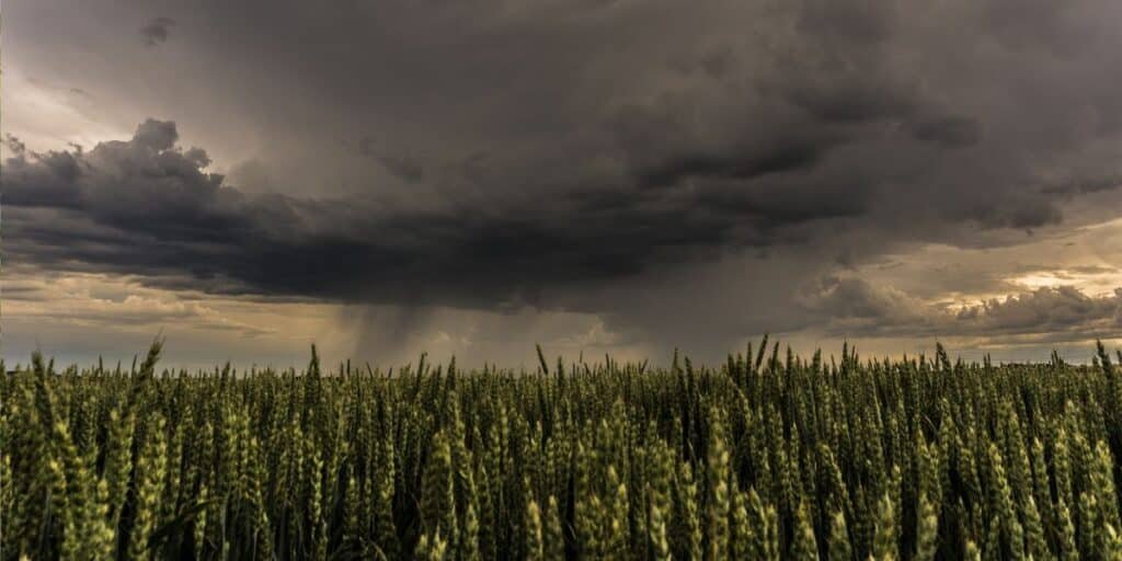 Weather Alert: NDMA urges caution as stormy weather hits regions of Pakistan