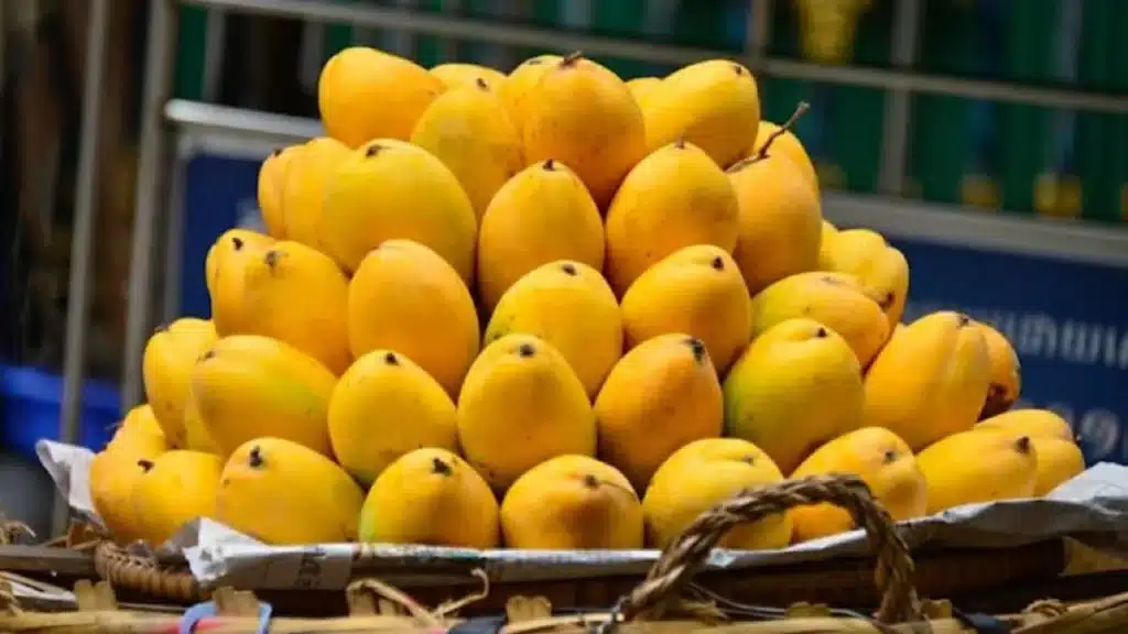 Taste of Pakistan: Mangoes now a UAE favourite