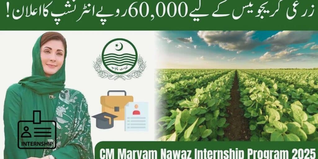 2,000 graduates to benefit from Punjab govt internship program: how to apply, full details