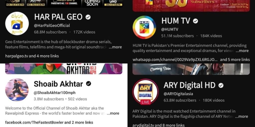 Pakistani stars return to Indian social media after temporary ban