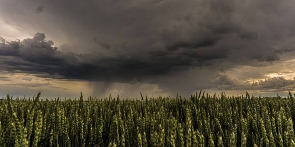 Pakistan weather update: Rain, storms forecast across country