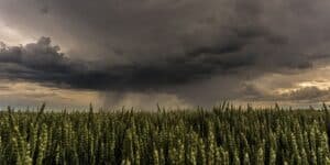 Pakistan weather update: Rain, storms forecast across country