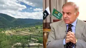 Shehbaz Sharif