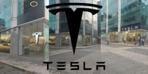 Tesla Indian debut: EV hype, high prices, no local manufacturing