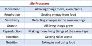 What are the 7 life processes essential