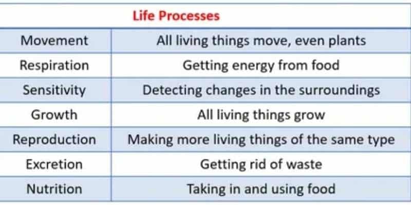 What are the 7 life processes essential