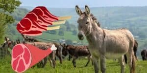 donkey meat