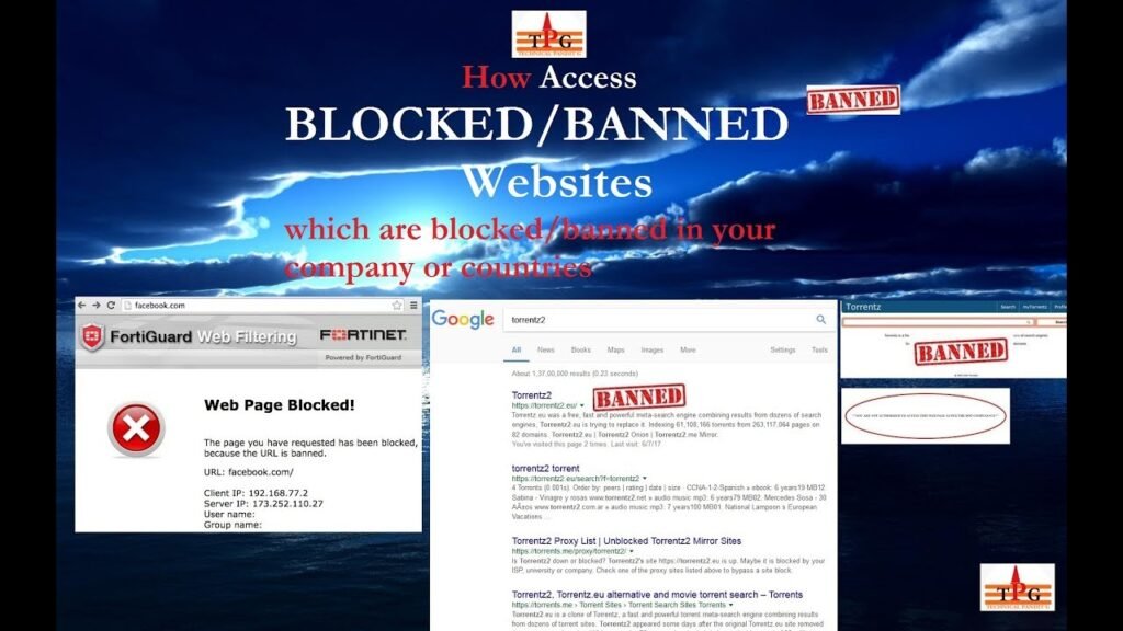 Are Torrent Websites Blocked in Pakistan? (2025 Guide)