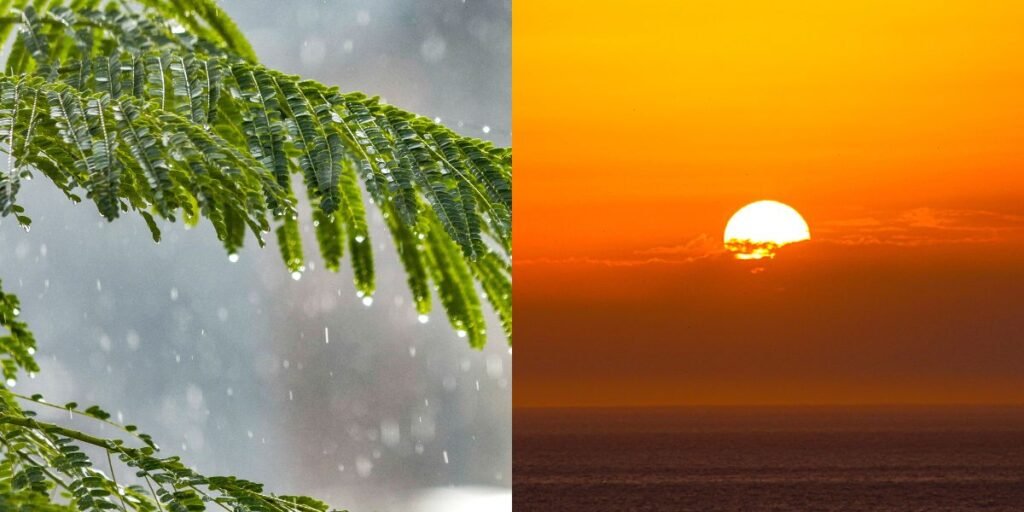 Pakistan weather update: Hot, humid weather continues; rain expected in northern regions