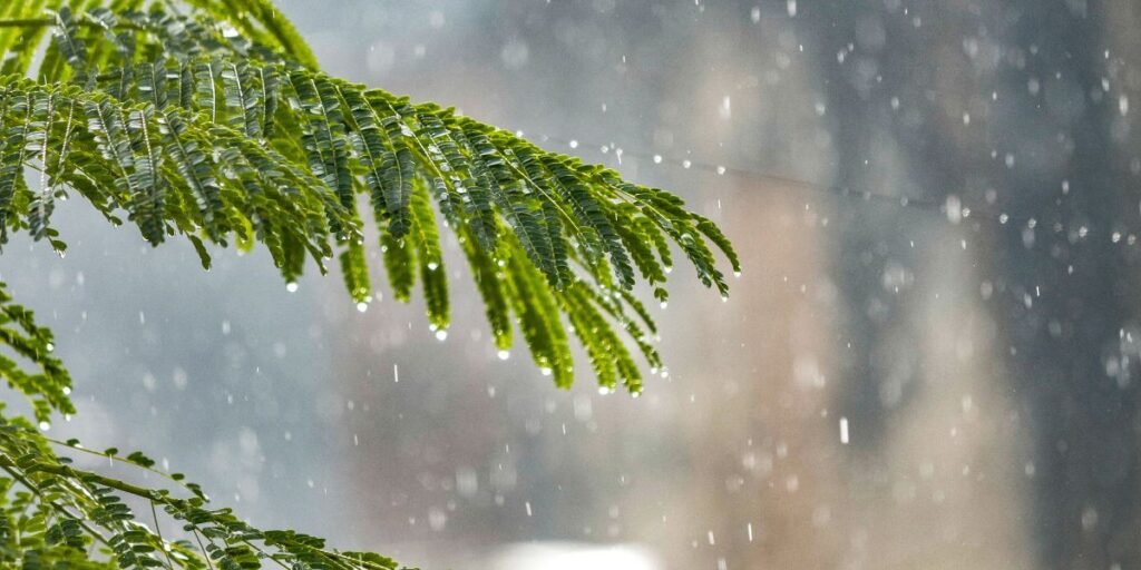 Monsoon set to intensify nationwide