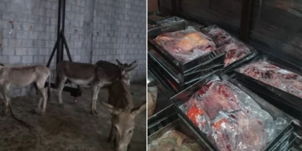 donkey meat